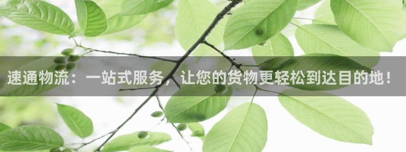 28圈链接是什么：速通物流：一站式服