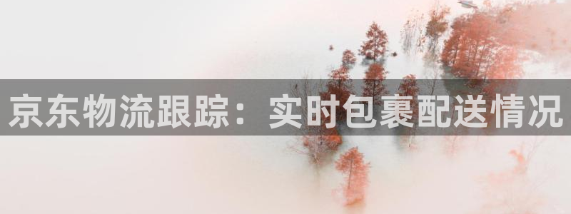 南宫28圈官网版：京东物流跟踪：实时