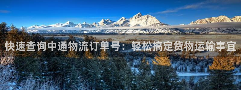 28圈注册步骤：快速查询中通物流订单