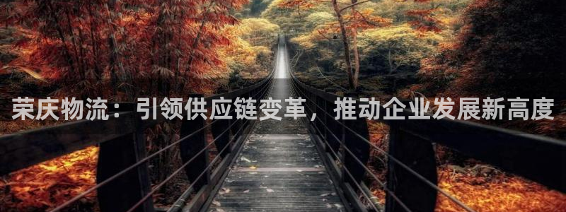 28圈提款一直没到：荣庆物流：引领供应链变革，推动企业发展新