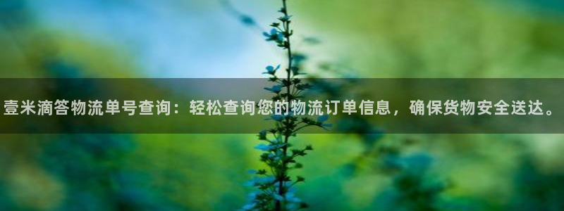 28圈.ccm正版：壹米滴答物流单号