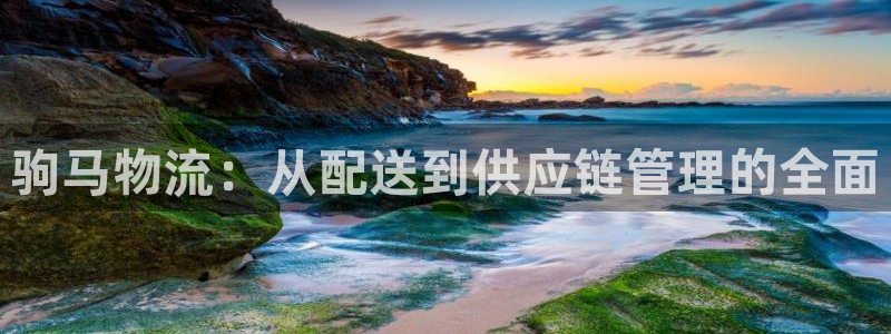 28圈登陆网：驹马物流：从配送到供应