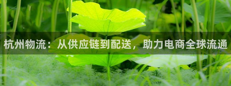 28圈娱乐官网网页入口：杭州物流：从