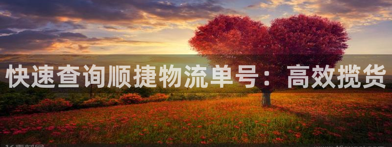 28圈代理落网：快速查询顺捷物流单号
