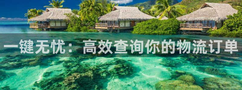 28圈辅助：一键无忧：高效查询你的物