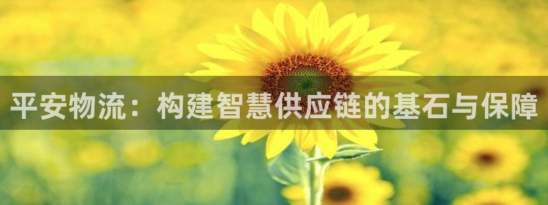 28圈链接是什么：平安物流：构建智慧供应链的基石与保障