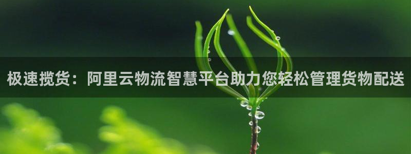 28圈推广链接是多少粉丝