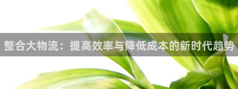 28圈cn：整合大物流：提高效率与降