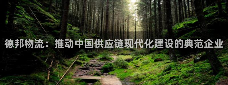 28圈在线预测官网