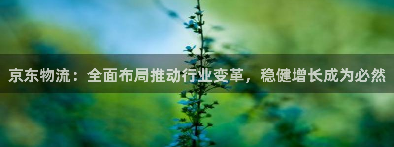 28圈黑不黑：京东物流：全面布局推动