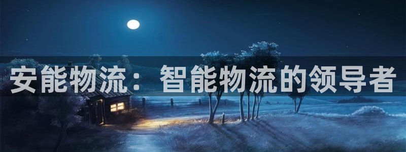 28圈官网预测：安能物流：智能物流的