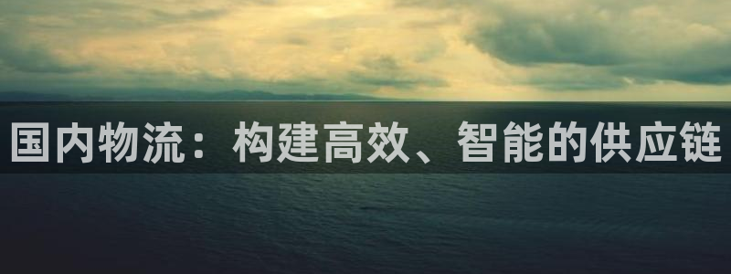 28圈模拟器在线玩：国内物流：构建高