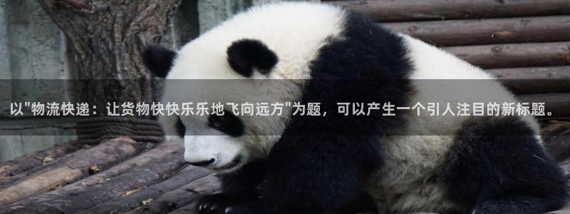 28圈软件是什么：以\