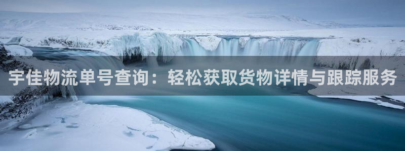 加拿大28圈注册链接：宇佳物流单号查