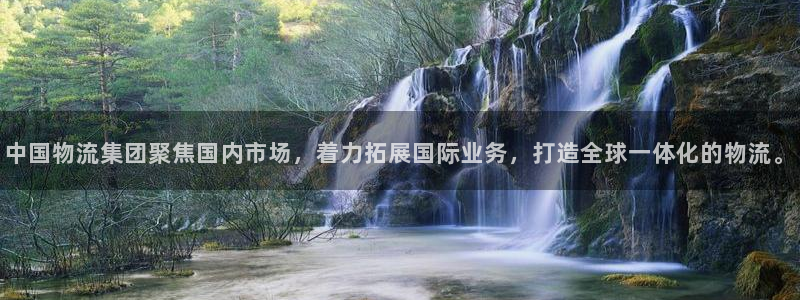 28圈南宫娱乐官网：中国物流集团聚焦