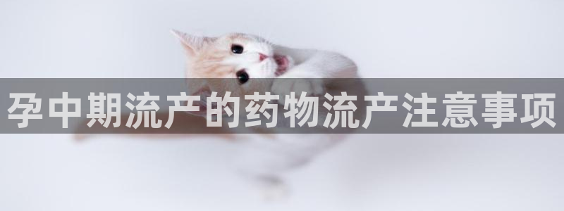 28圈系统自动保护：孕中期流产的药物