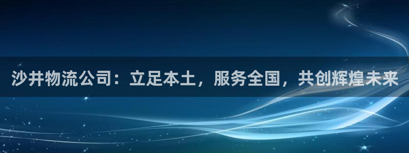 28圈游戏最新版：沙井物流公司：立足