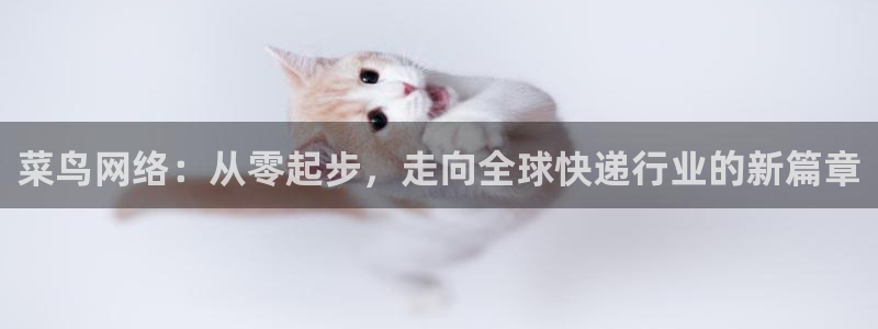 28圈app赢了500万：菜鸟网络：