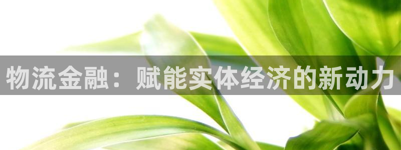 28圈可以退款吗
