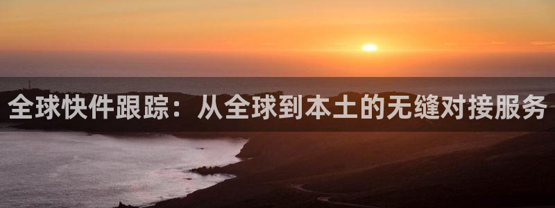 28圈游戏链接：全球快件跟踪：从全球