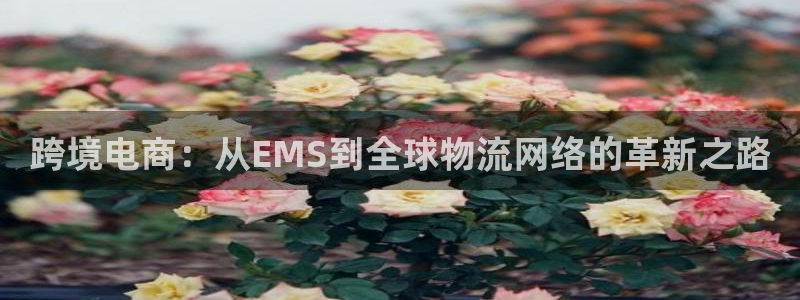 28圈为什么打不开：跨境电商：从EM