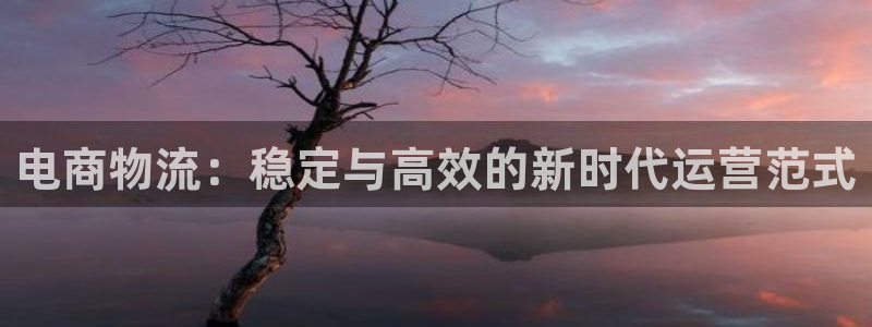 28圈龙虎：电商物流：稳定与高效的新