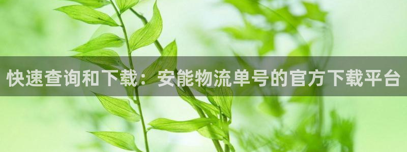 28圈现在狂杀：快速查询和下载：安能