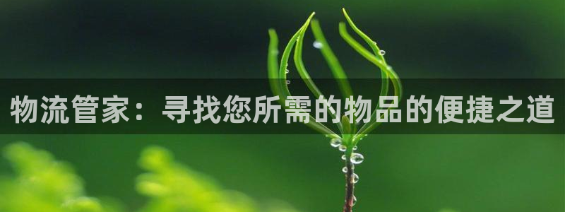 28圈注册条件：物流管家：寻找您所需