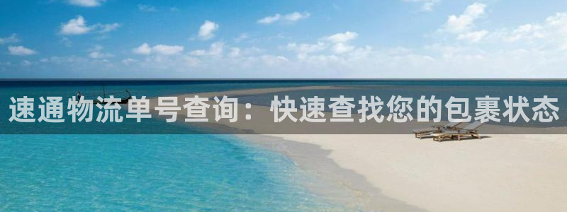 28圈登录网：速通物流单号查询：快速
