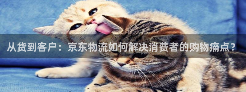 加拿大28圈是什么：从货到客户：京东