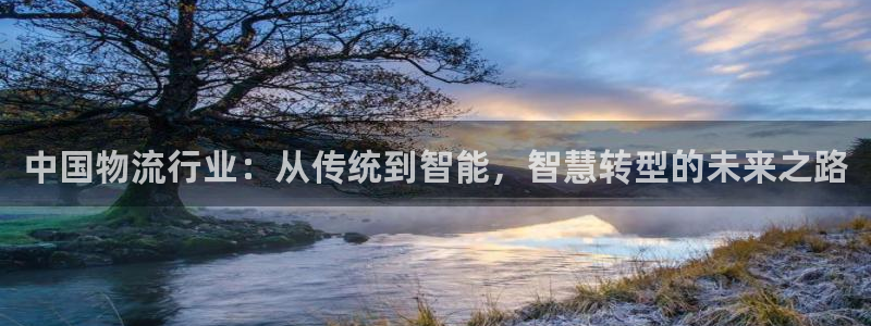 28圈充值方式：中国物流行业：从传统