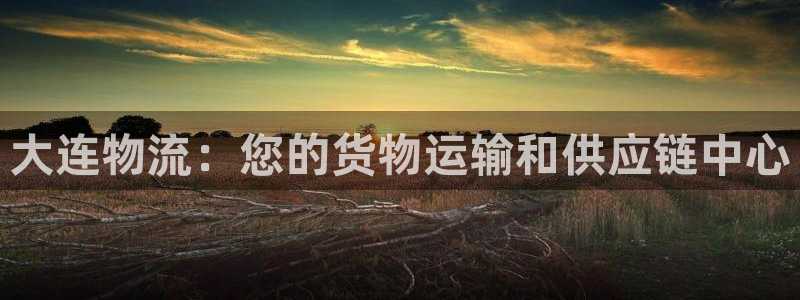 28圈辅助：大连物流：您的货物运输和
