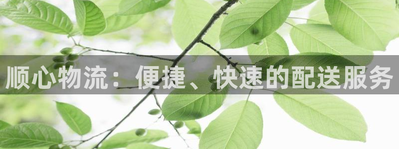 28圈ccm官网版：顺心物流：便捷、