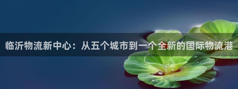 28圈官方官网版：临沂物流新中心：从