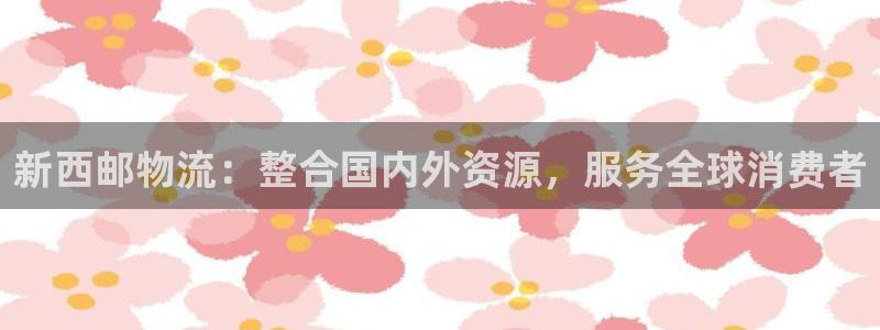加拿大28圈是什么：新西邮物流：整合