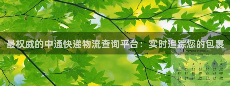 28圈pg麻将胡了：最权威的中通快递