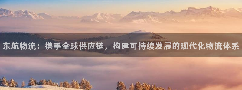 28圈预测加拿大：东航物流：携手全球