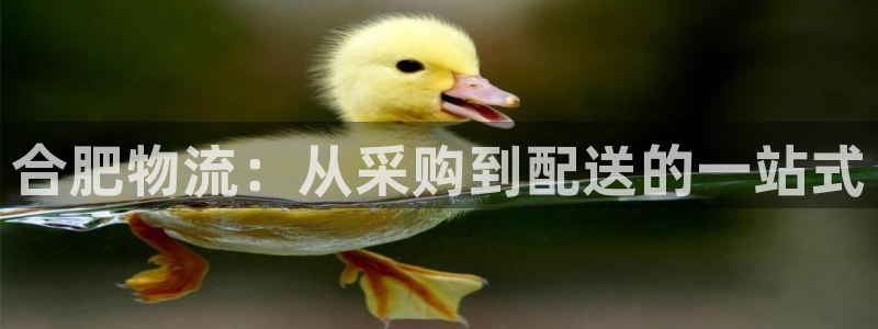 28圈模拟器在线使用：合肥物流：从采