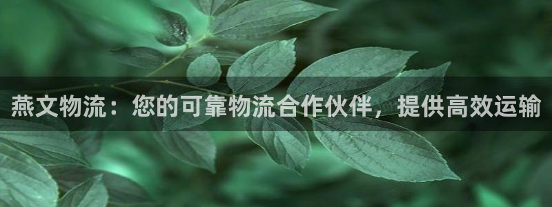 28圈技巧：燕文物流：您的可靠物流合