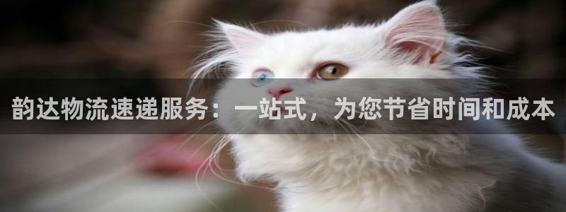 28圈ccm官网版：韵达物流速递服务